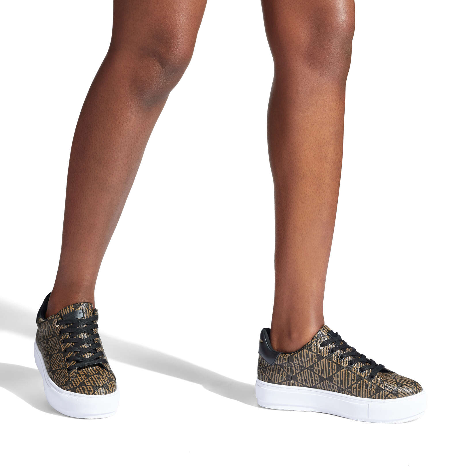 Laney alternative 5