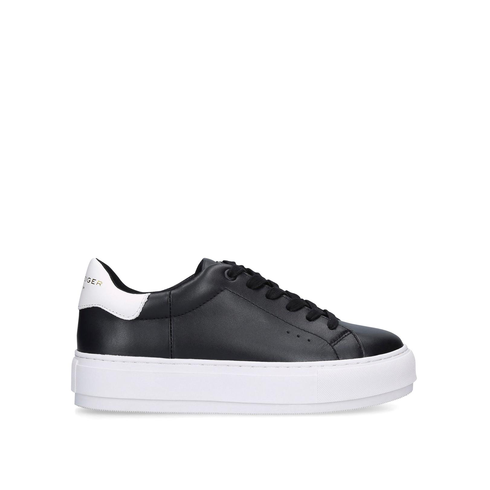 Laney alternative 1