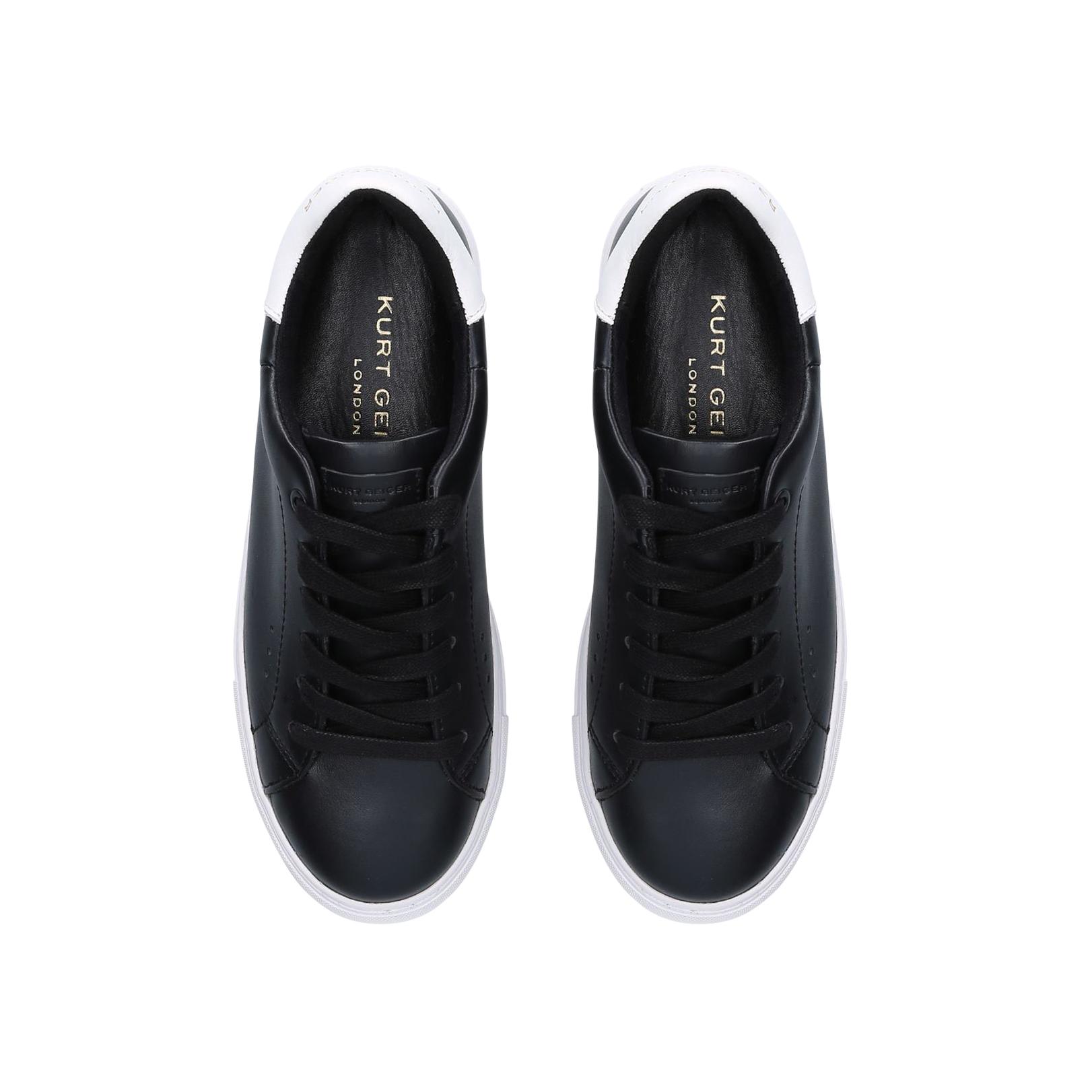 Laney alternative 2