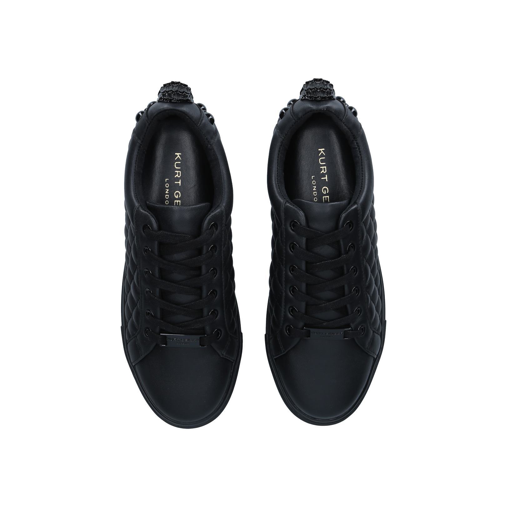 Laney Eagle Drench alternative 2