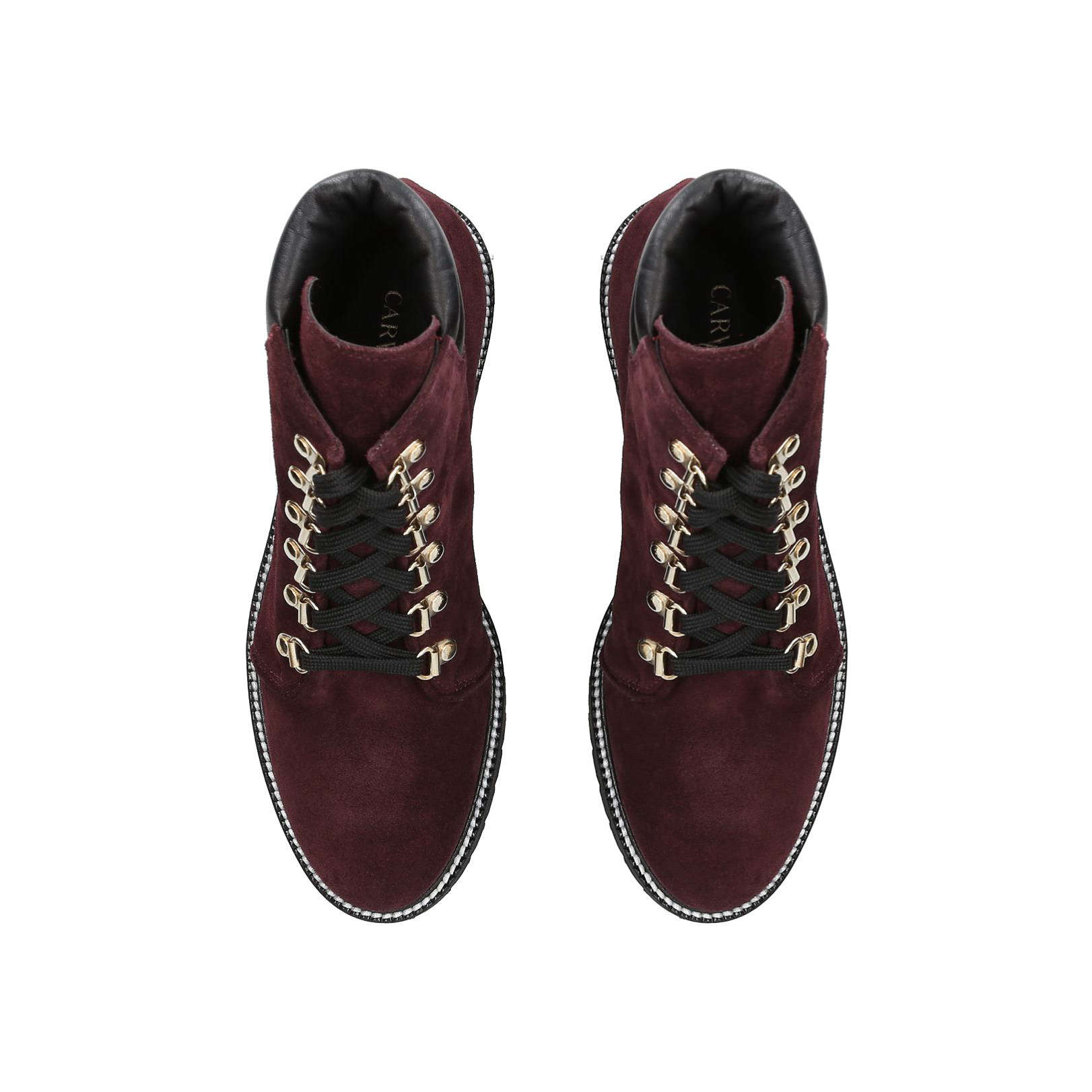 sorel cattail color