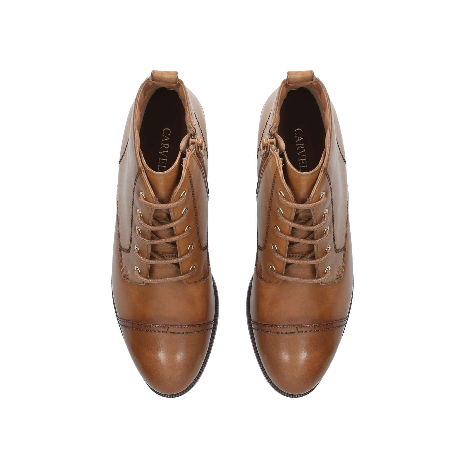 carvela tober
