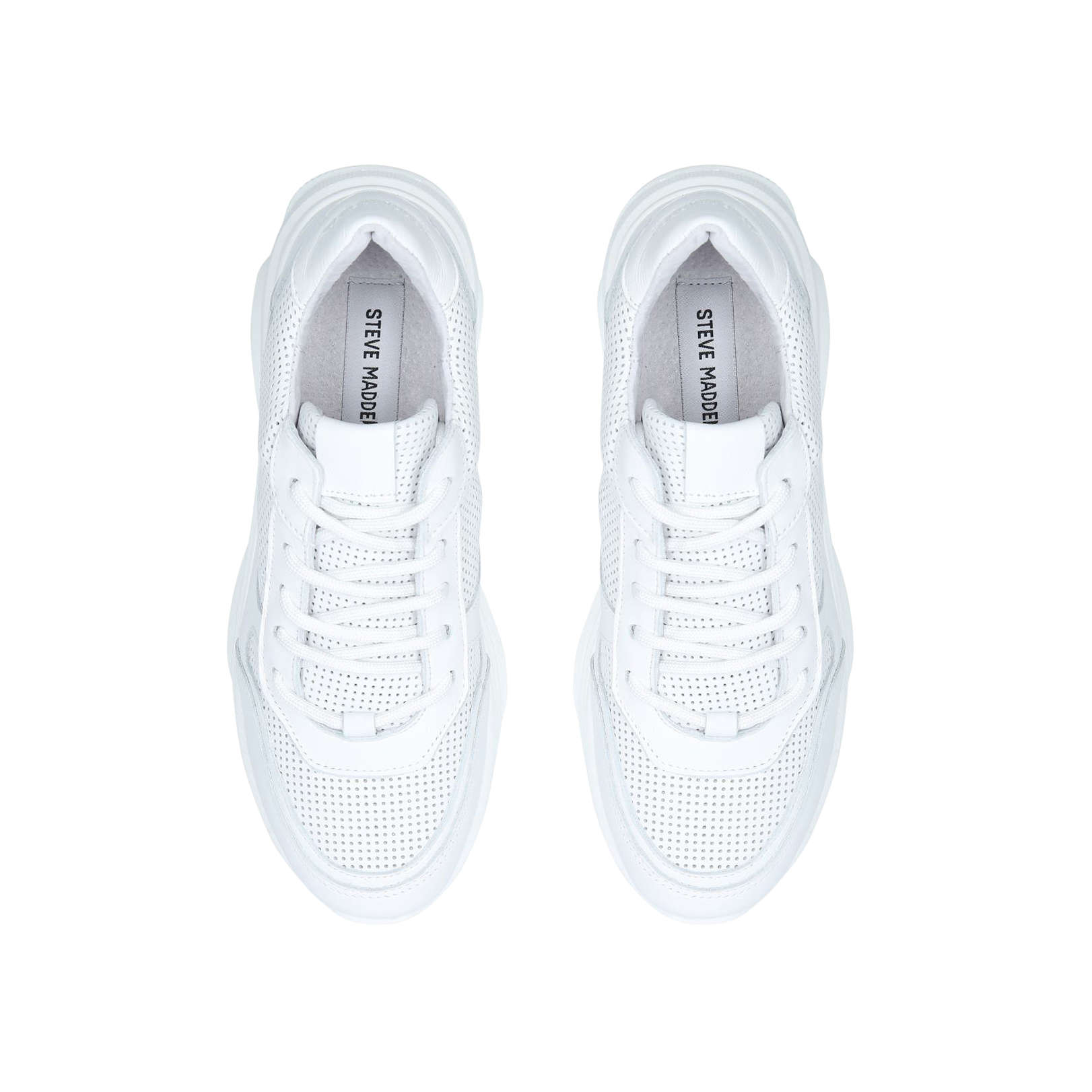 steve madden zela trainers