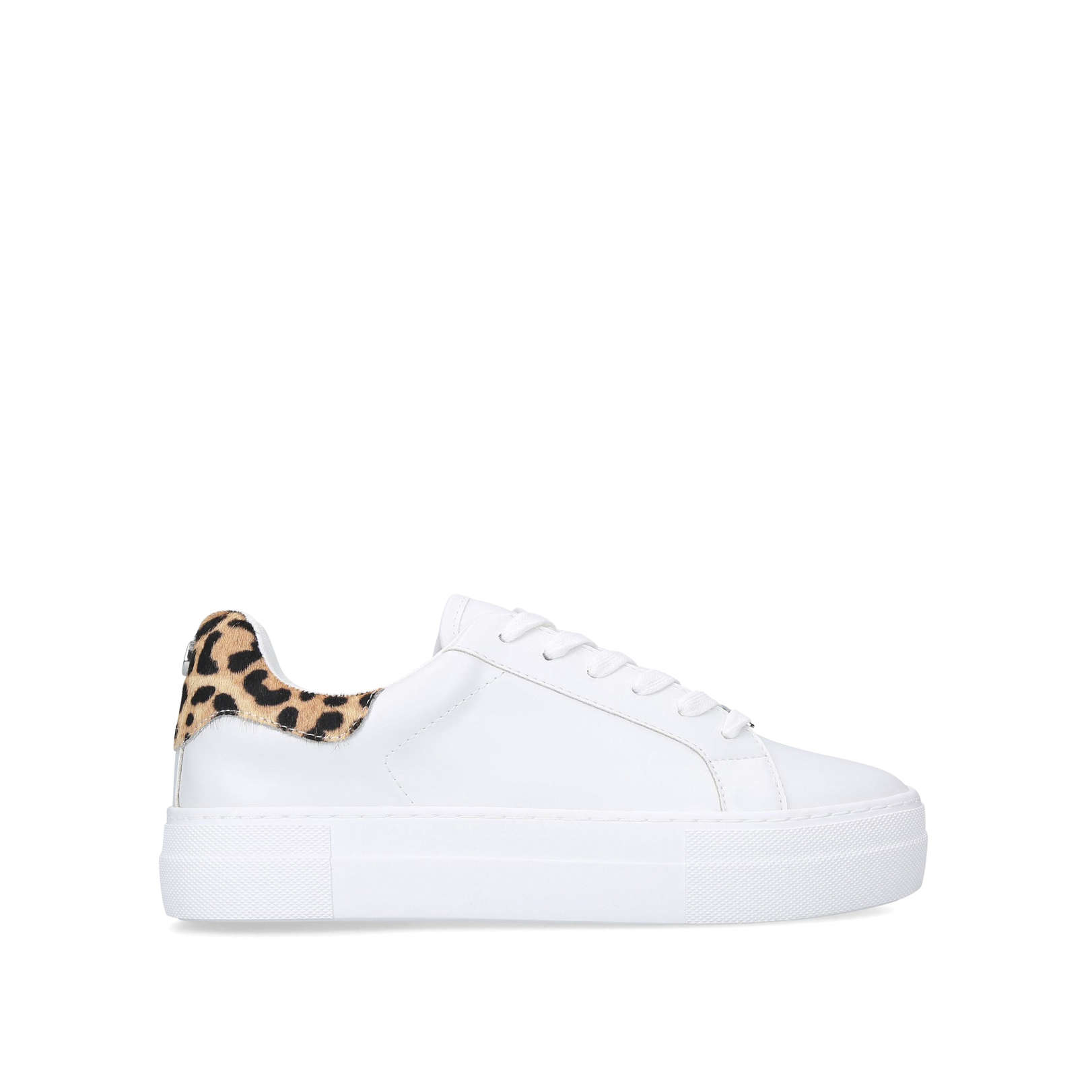 steve madden superga