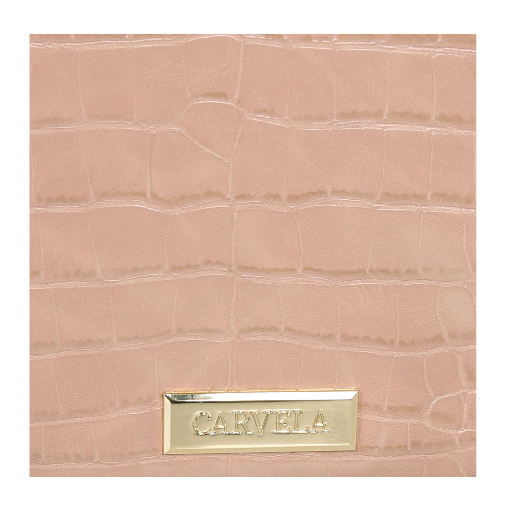 carvela imagine cross body