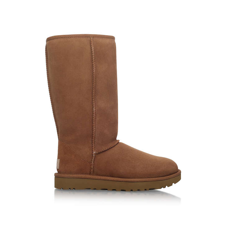 tall chestnut ugg boots