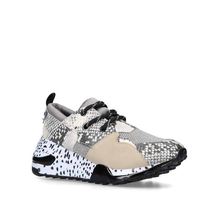 steve madden cliff amazon