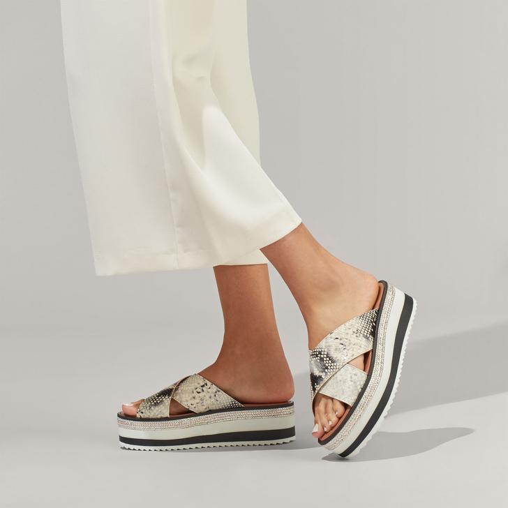 carvela kareless